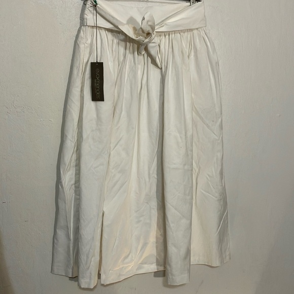 eva mendes for New York & Company Dresses & Skirts - Apron by Eva Mendes cotton nylon full apron skirt NWT clean girl beautiful chef